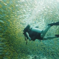 A woman swims underwater in scuba gear through a school of colourful and patterned fish